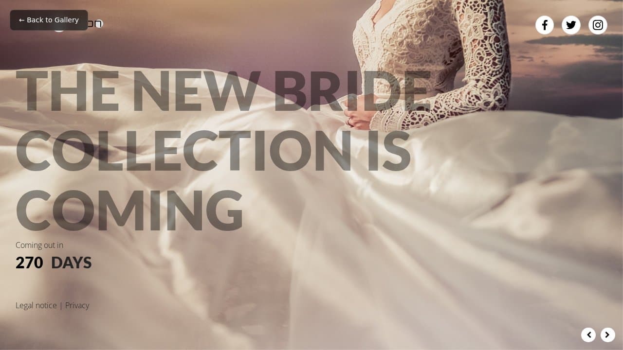 Coming Soon 3 template preview