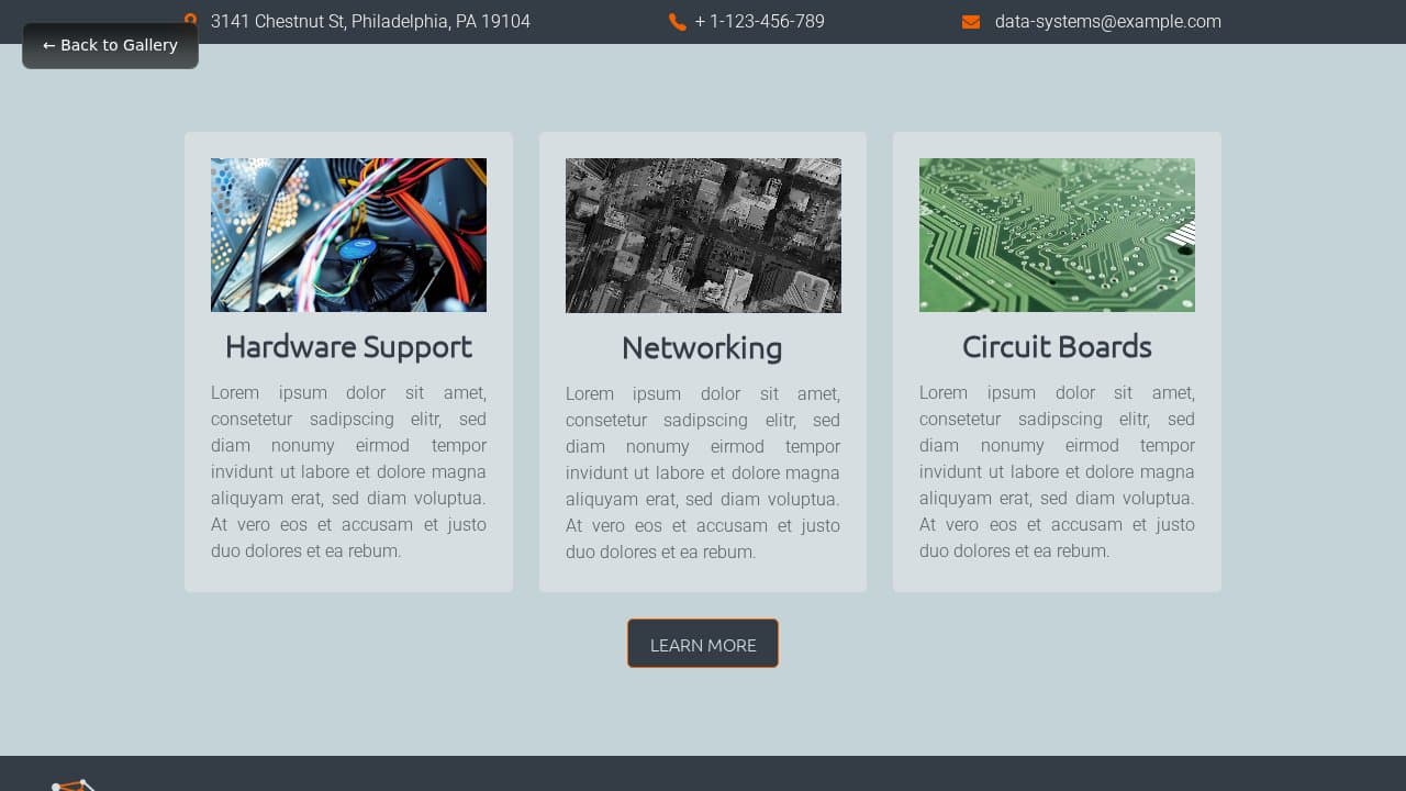 Data Systems template preview