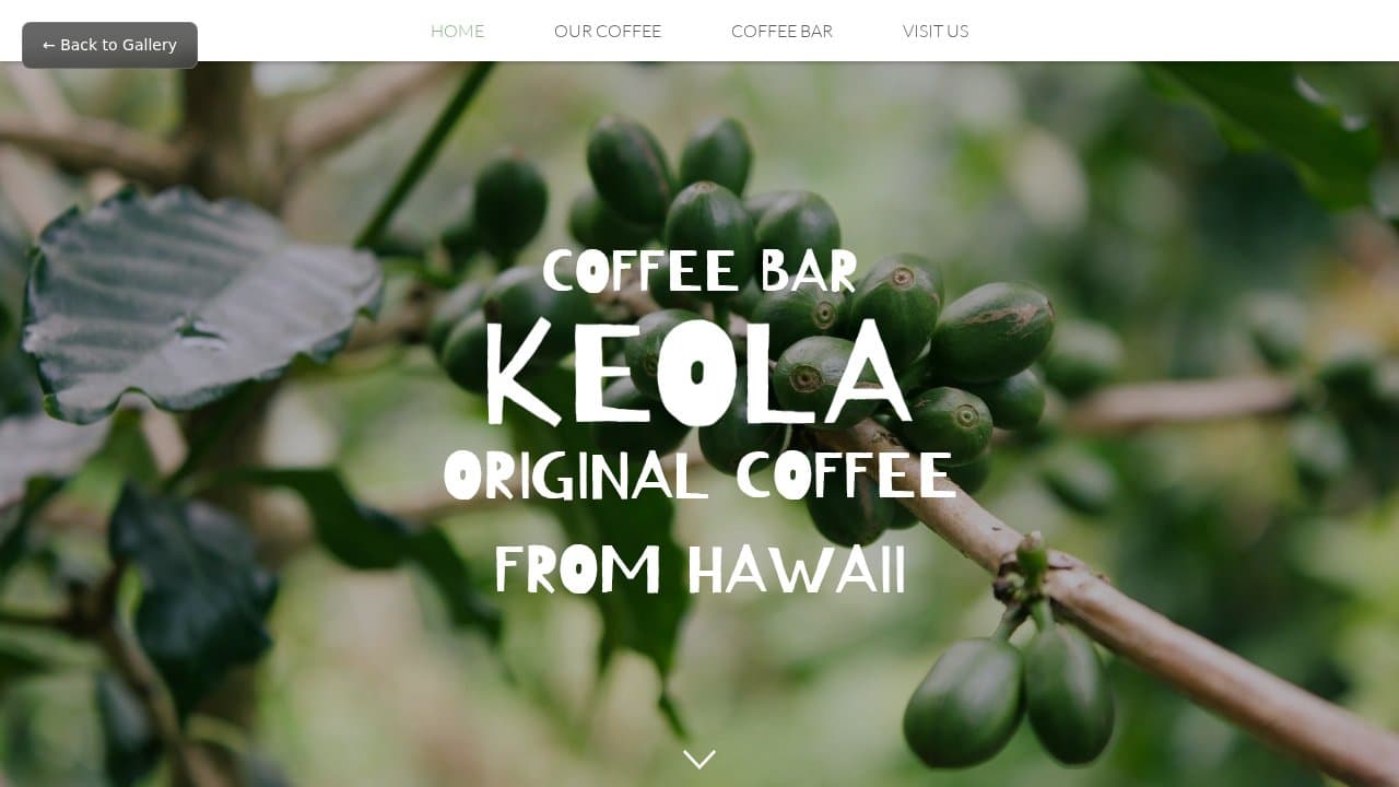 Keola template preview