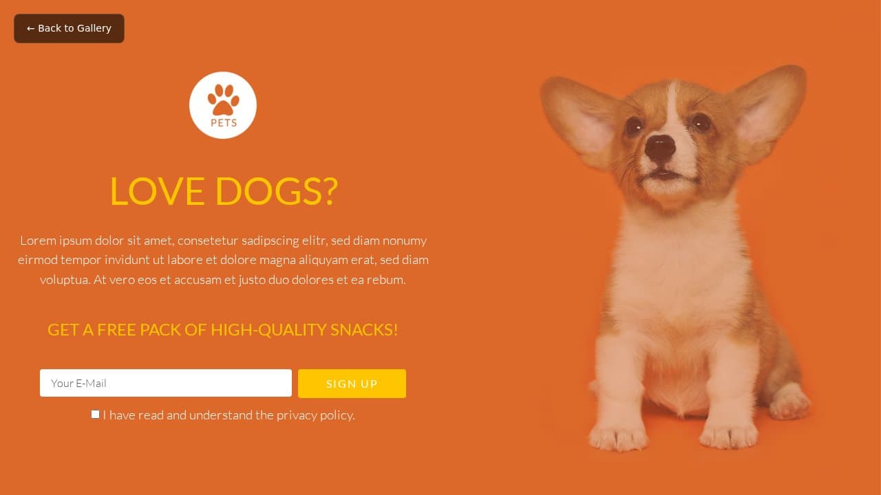 Pets template preview