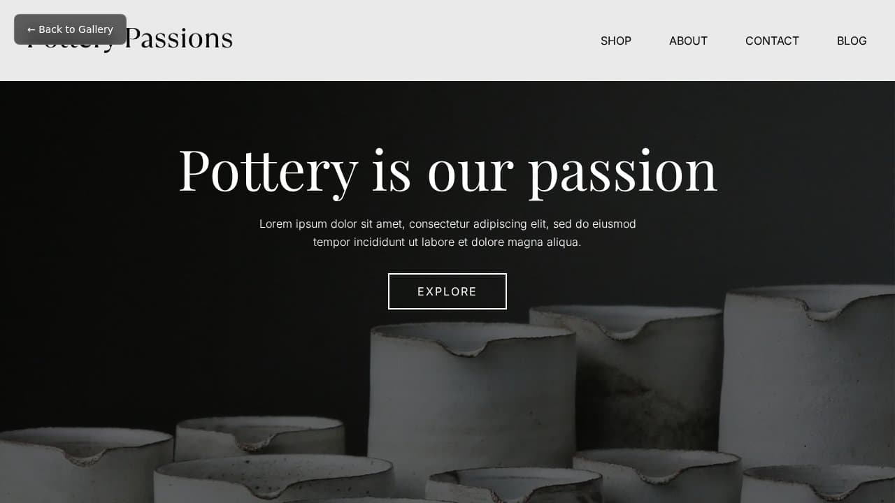 Pottery Passions template preview
