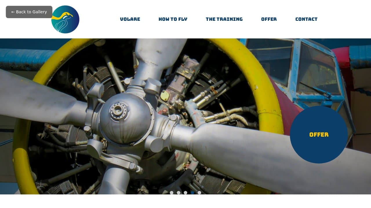 Volare template preview