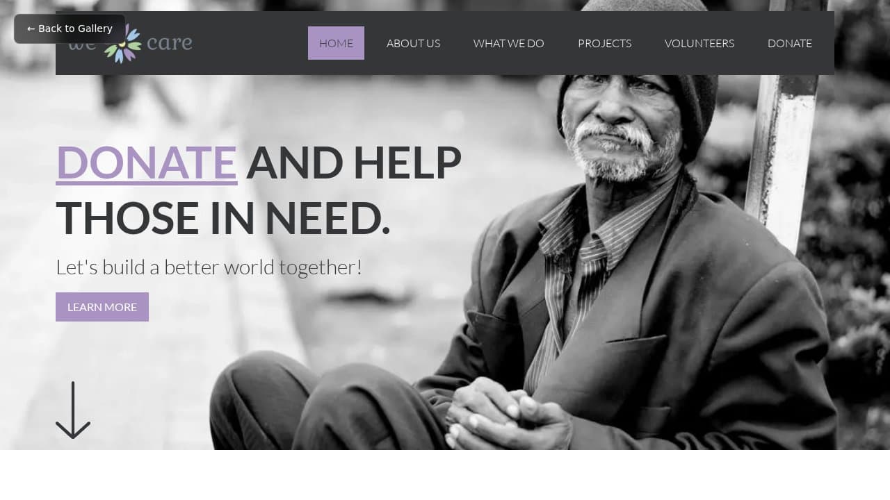 We Care template preview